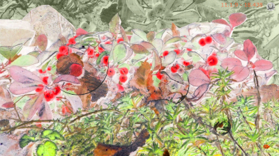 Beeren